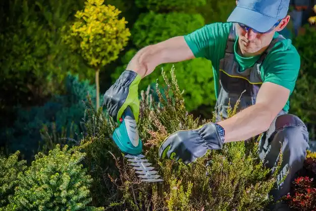 landscaping services Livingston Manor